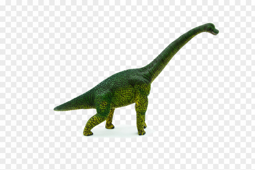 PigletDinosaur Brachiosaurus Dinosaur Tyrannosaurus Stegosaurus Animal Planet PNG
