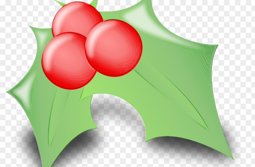 Plant Green Christmas Wreath Drawing PNG