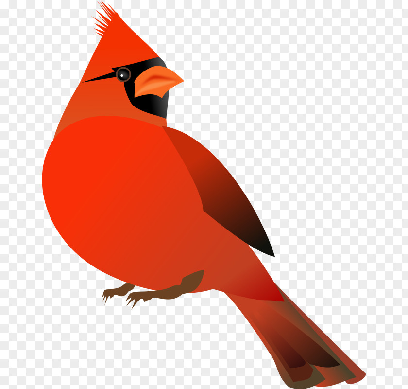 Sad Bird Cliparts Northern Cardinal Free Content Website Clip Art PNG