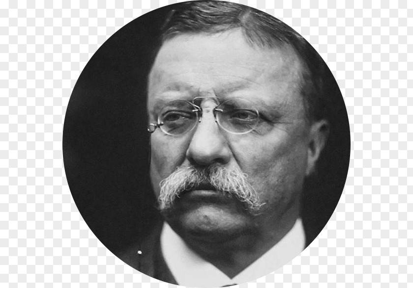White House Theodore Roosevelt President Of The United States Presidential Inauguration Republican Party PNG