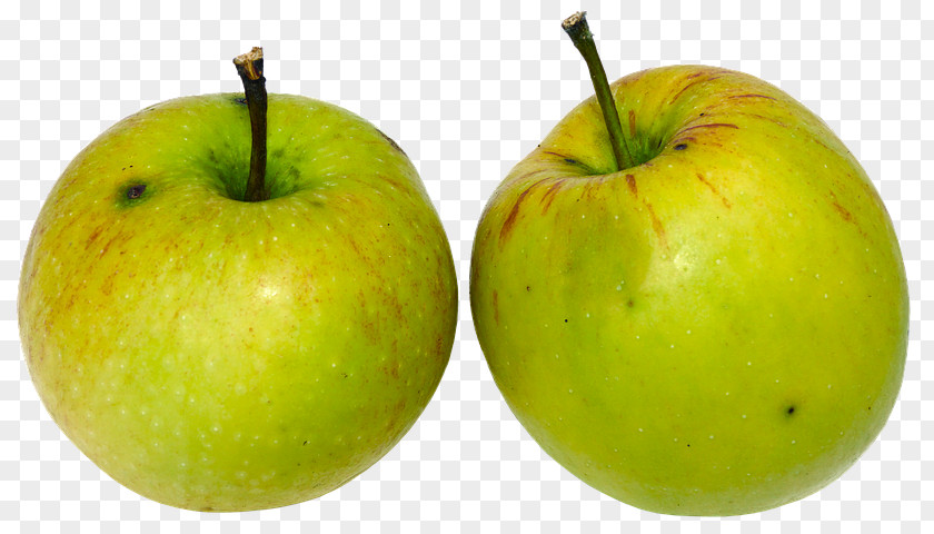 Apple Paradise Pome Fruit Granny Smith PNG