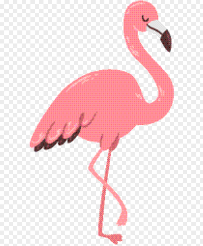 Cranelike Bird Neck Pink Flamingo PNG