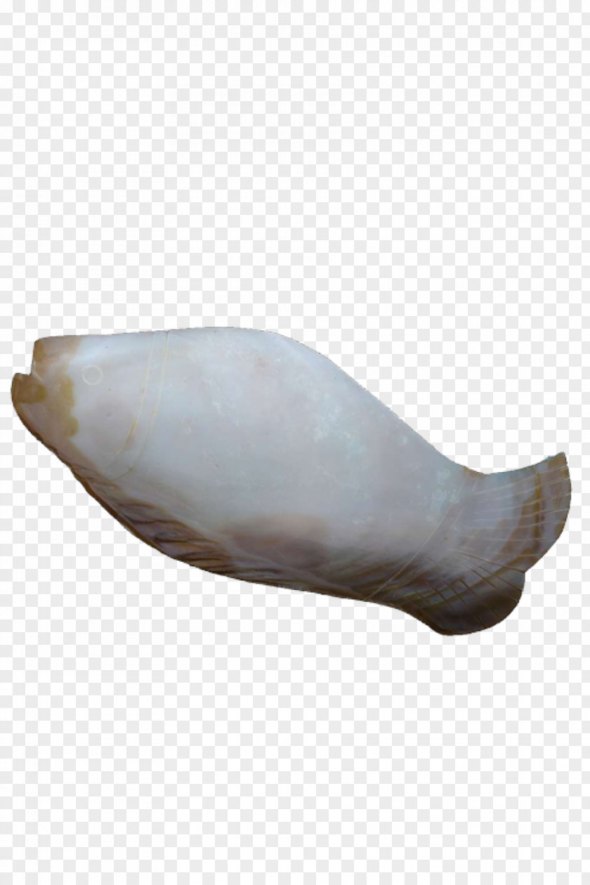 Dried Fish Shoe PNG