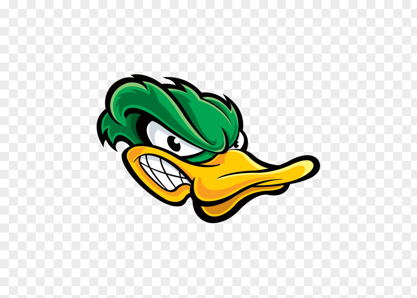 Duck Donald Mallard American Pekin PNG