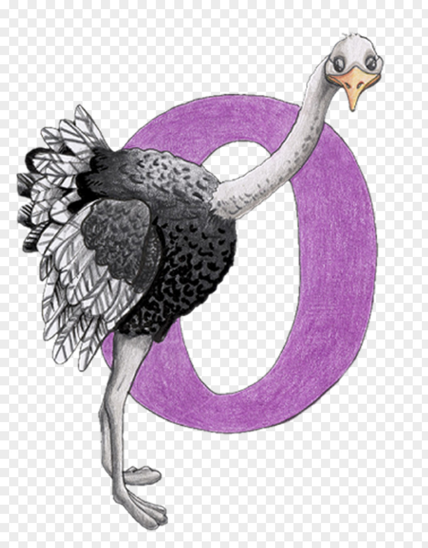 L.O.L Alphabet Bird Material Didàctic Common Ostrich PNG