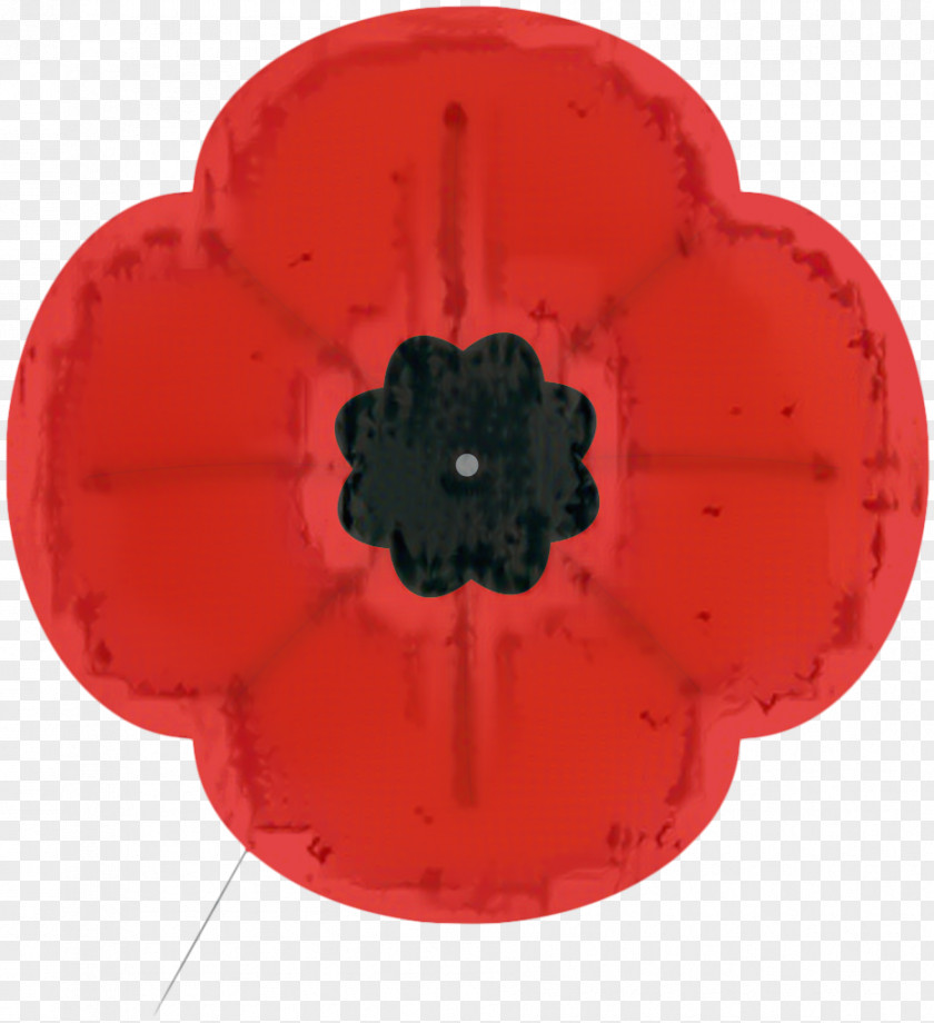 Corn Poppy Flower PNG