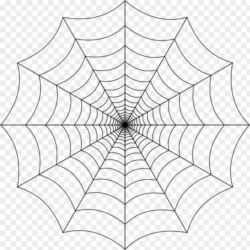 Spider Web Transparent Background Clip Art PNG