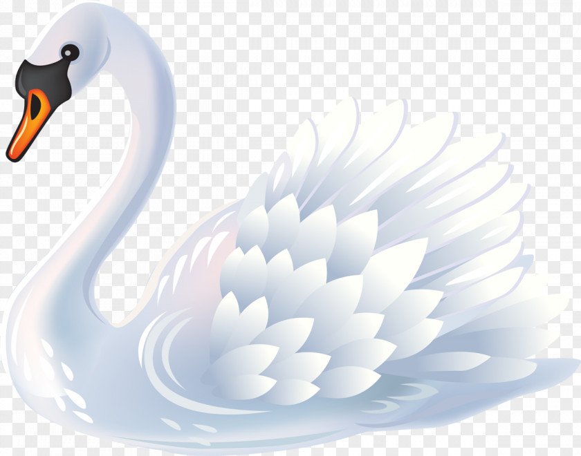 Birds Mute Swan Bird Black Clip Art PNG