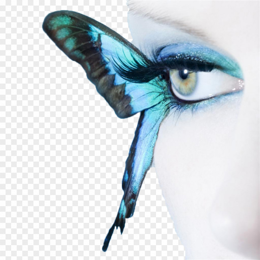 Creative Butterfly Makeup Blue Eye Stock Photography Cosmetics PNG