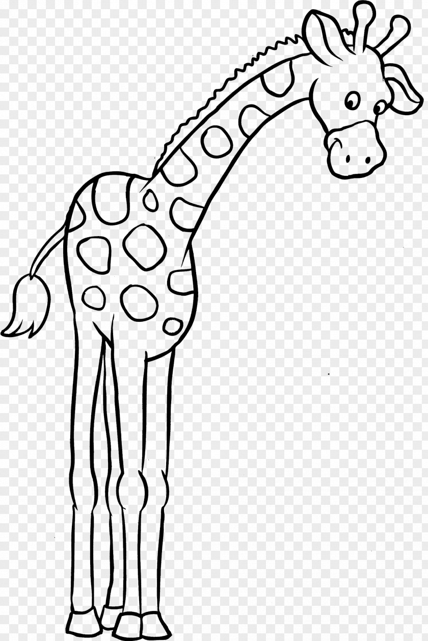 Giraffe Coloring Book Child Clip Art PNG