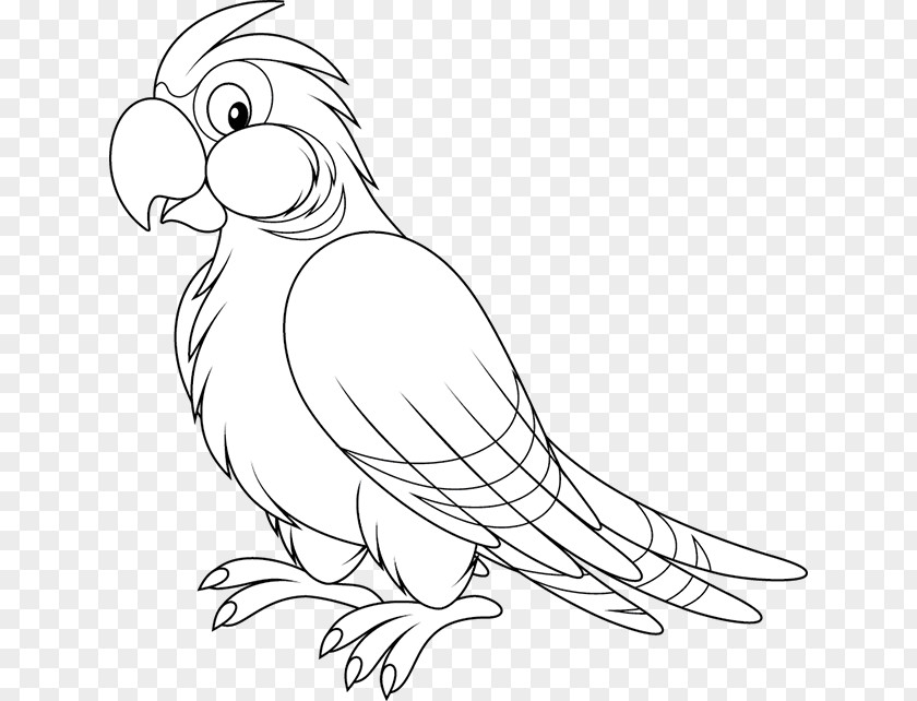 Parrot Clip Art Bird Image Black And White PNG