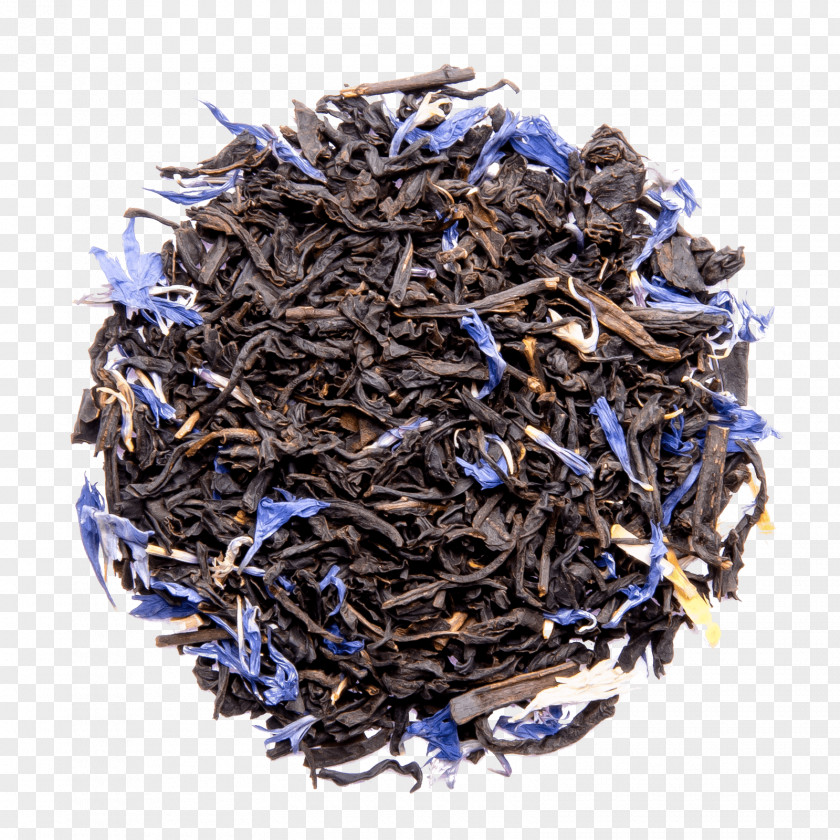 Screw Dianhong Nilgiri Tea PNG