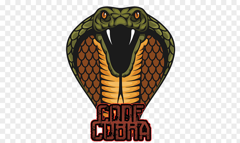 Snake Vipers King Cobra Royalty-free PNG