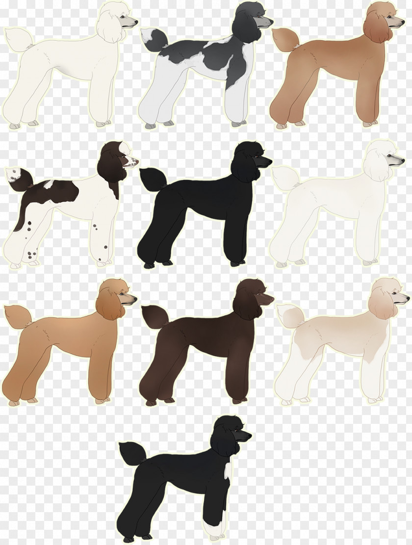 Dog Breed Companion Animal PNG