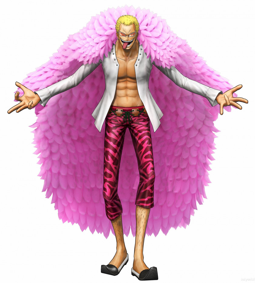 Flamingo One Piece: Pirate Warriors 3 2 Unlimited Cruise Monkey D. Luffy PNG