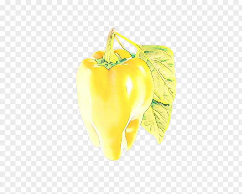 Yellow Pepper Bell Plant Vegetable PNG