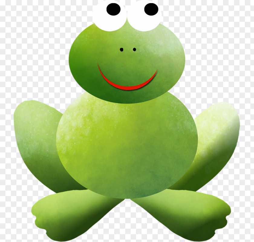 Cute Little Frog Tree Green PNG