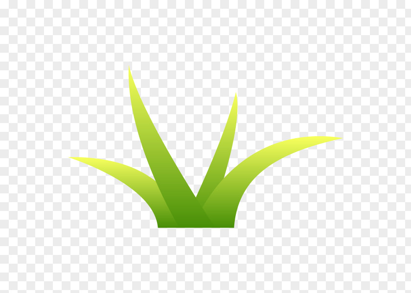 Grass Illustration Weed Vector Graphics PNG
