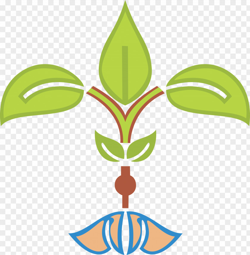 Rangoli Leaf Plant Stem Tree PNG