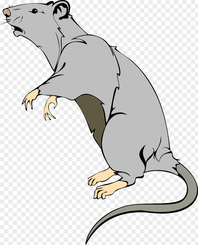 Rat Brown Mouse Laboratory Clip Art PNG