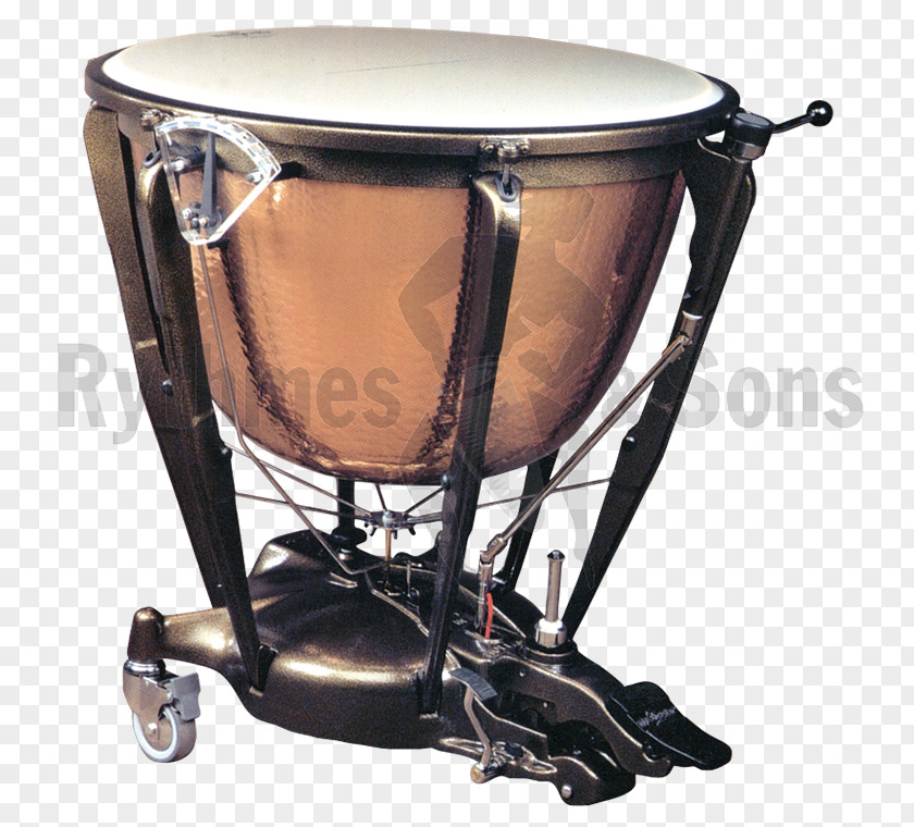 Drum Tom-Toms Timbales Snare Drums Marching Percussion Bass PNG