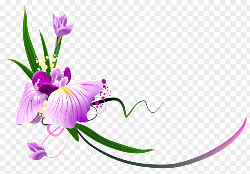 Flower Background Floral Design Clip Art PNG