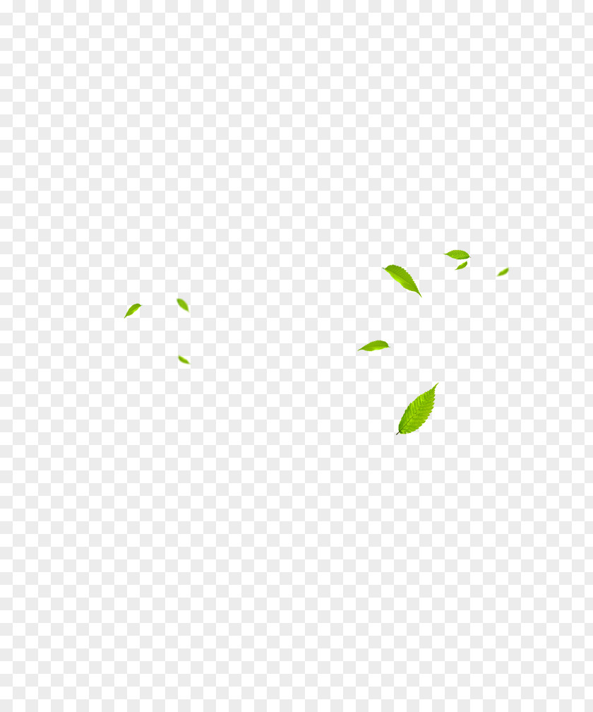Green Leaves Material Pattern PNG