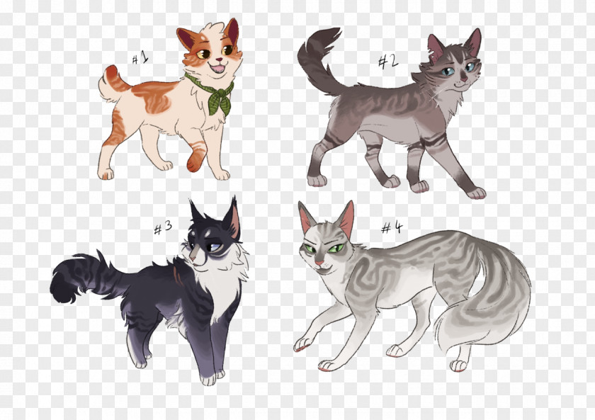 Kitten Whiskers Cat Warriors Drawing PNG