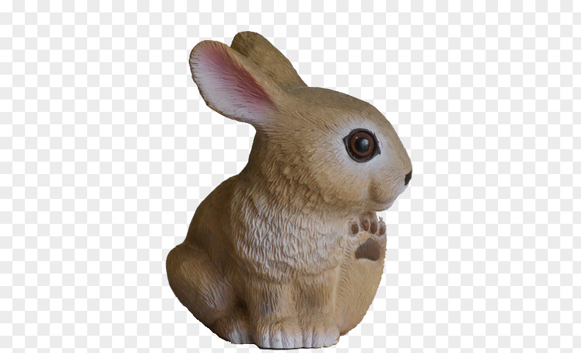 Rabbit Domestic Hare Fauna Snout PNG