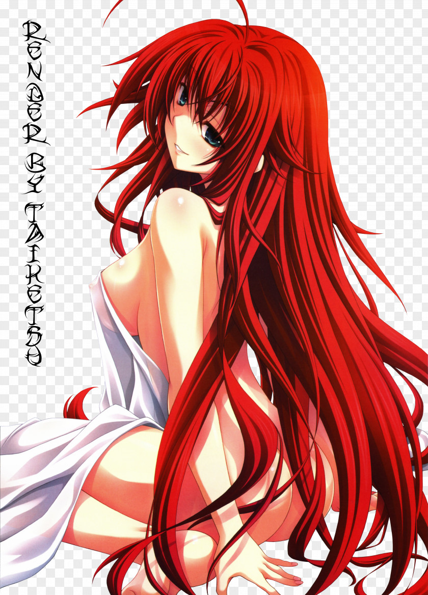 Rias Gremory High School DxD Anime PNG , clipart PNG