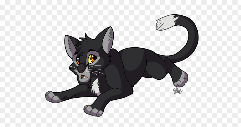 Warrior Cats Barley Cat Whiskers Warriors Ravenpaw Drawing PNG