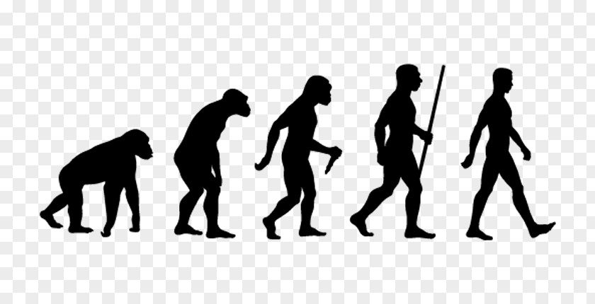 Alive The Final Evolution Human Evolutionary Biology Homo Sapiens Darwinism PNG
