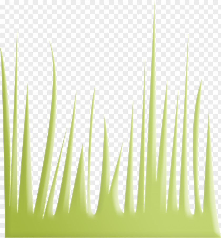 Green Grass Euclidean Vector Gratis Download PNG