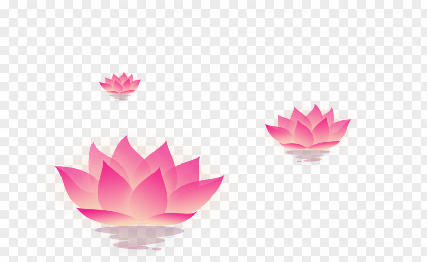 Lotus And Reflection Mooncake Mid-Autumn Festival Lantern PNG