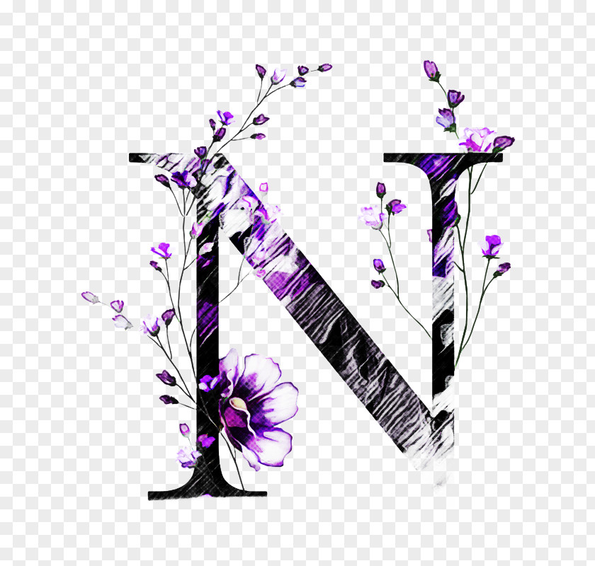 Plucked String Instruments Flower Violet Purple Plant Font PNG