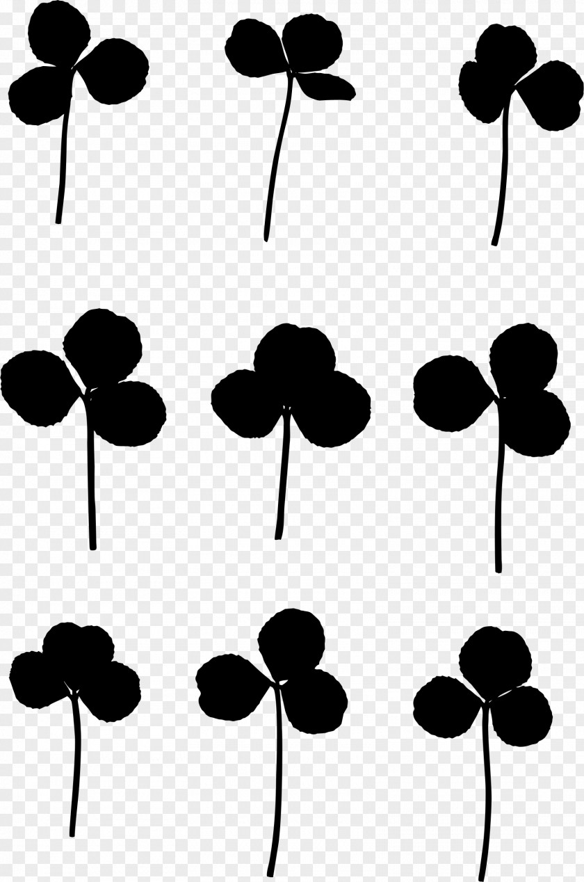 Stock Photography Alamy White Clover Clip Art Illustration PNG