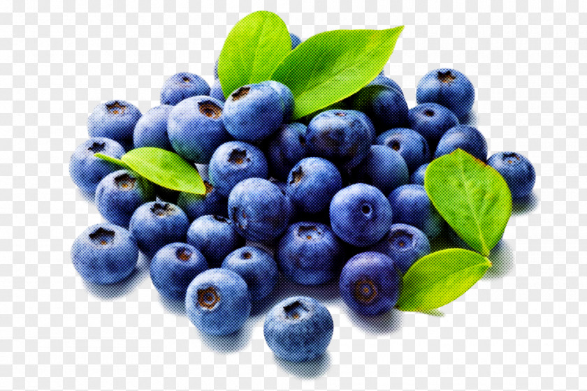 Berry Bilberry Blue Natural Foods Blueberry PNG