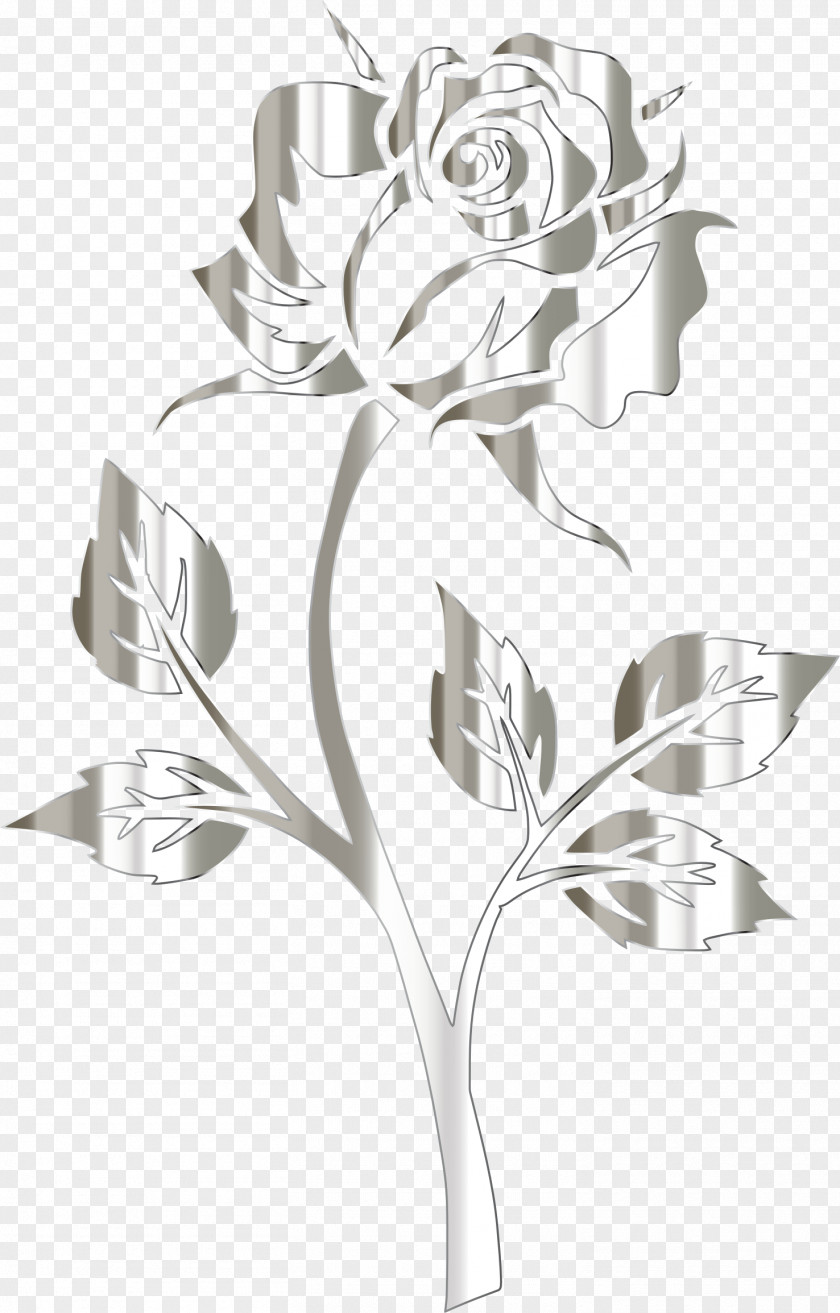 Bougainvillea Flower Rainbow Rose Desktop Wallpaper Clip Art PNG