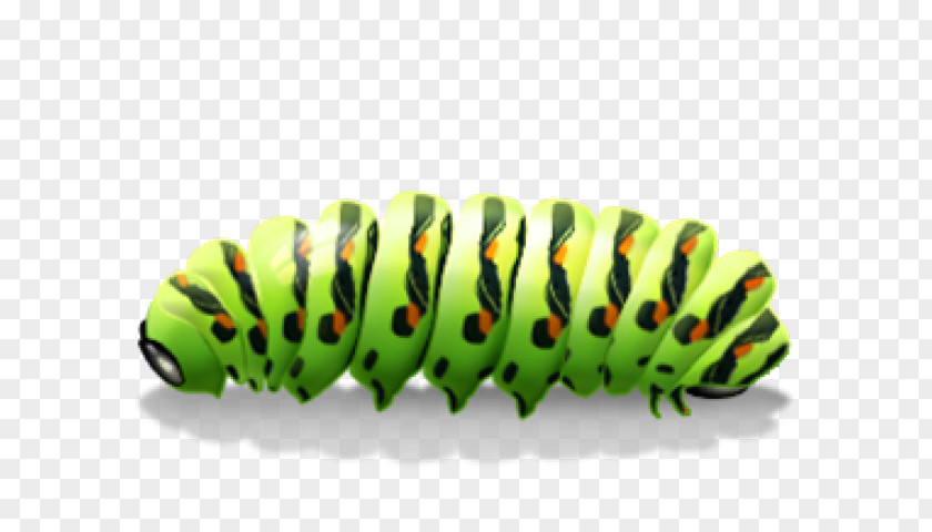 Caterpillar Clip Art Image Free Content PNG