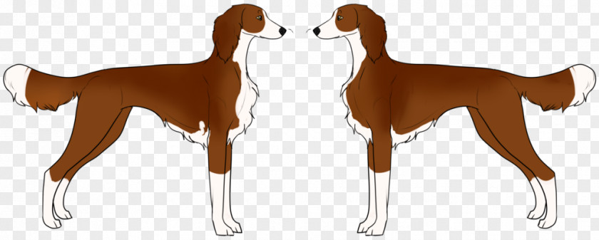Rare Breed Dog Azawakh Paw Clip Art PNG