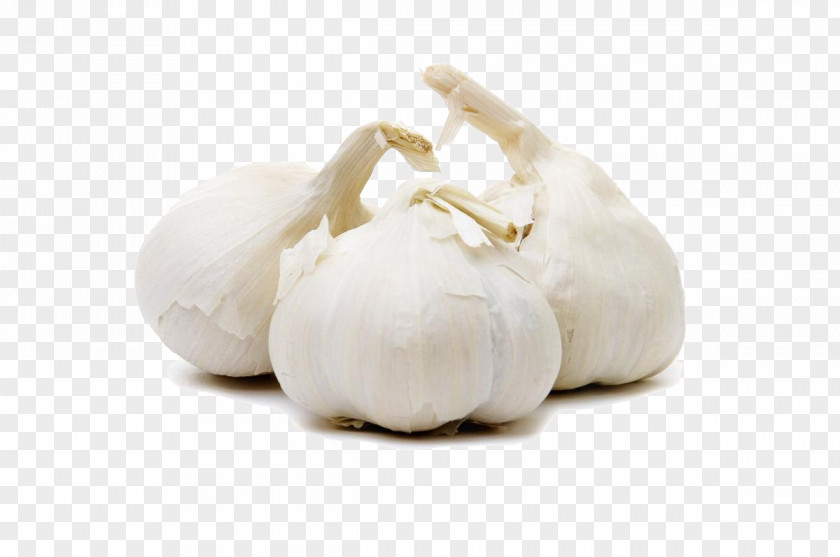 Three Garlic Vegetable Seasoning Food Herb PNG