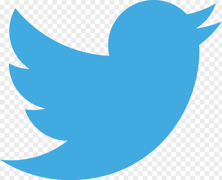 Transparent Bird Cliparts Social Media Logo Zeelandia Ltd Information PNG