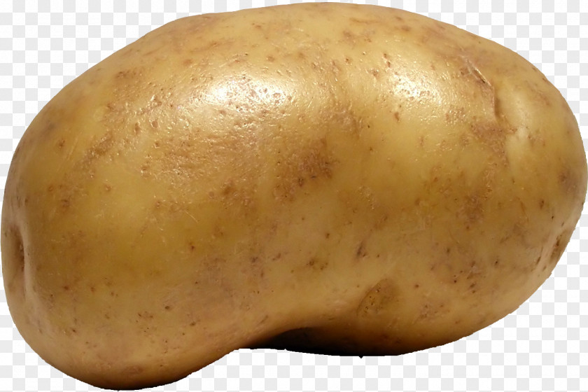 Vegetable Russet Burbank Potato Yukon Gold Food Pap PNG
