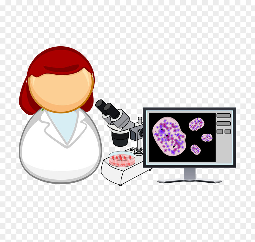Biology Streamer Clip Art Clipart Cell PNG
