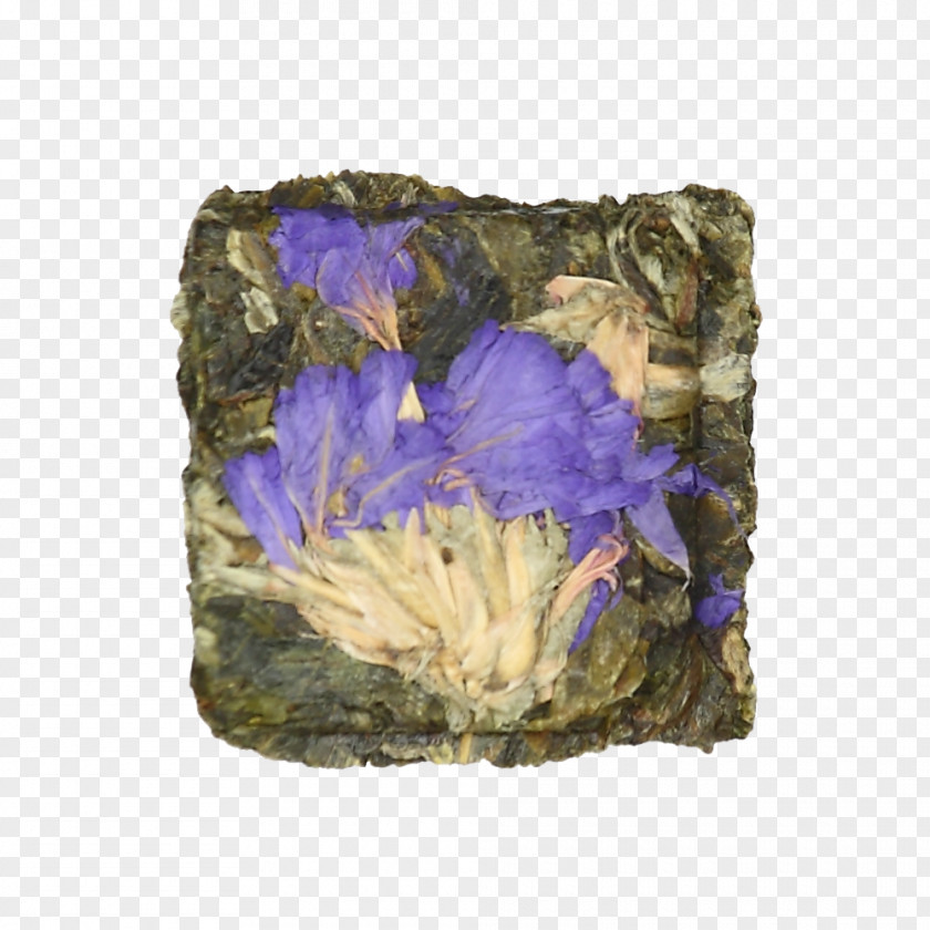 Dried Tea Mineral Flower PNG