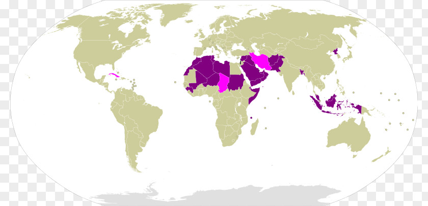 Iraqi Passport World Map Globe PNG