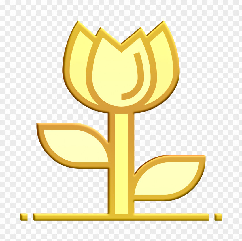 Party Icon Flower PNG