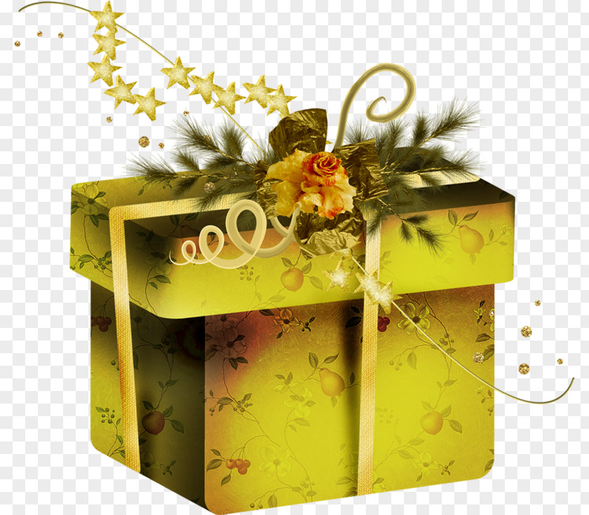 Present Plant Yellow Flower PNG