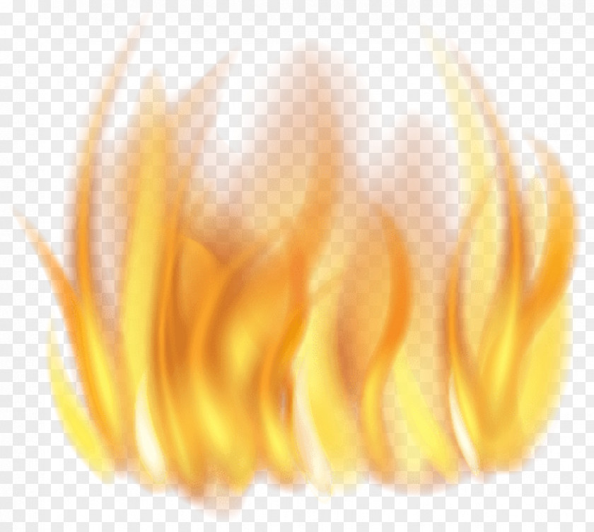 Amber Yellow Fire Hose PNG