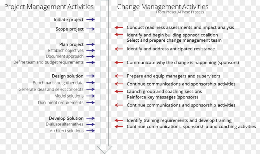 An Illegal Assignment; A Fine Assignment Document Line PNG